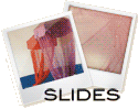 Slideshow - Mosquito Net Show Case